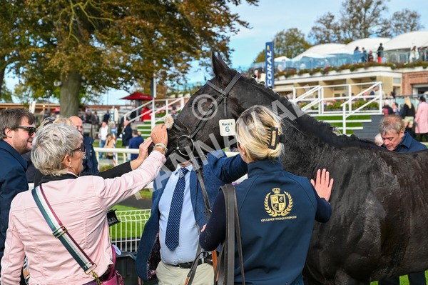 141023-Race 1-Purosangue-8719 - Race 1 1.15pm Coral Rockingham Stakes