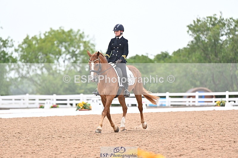 240815A-135841-01711 - 170-India.John-Grayswood.Orlando