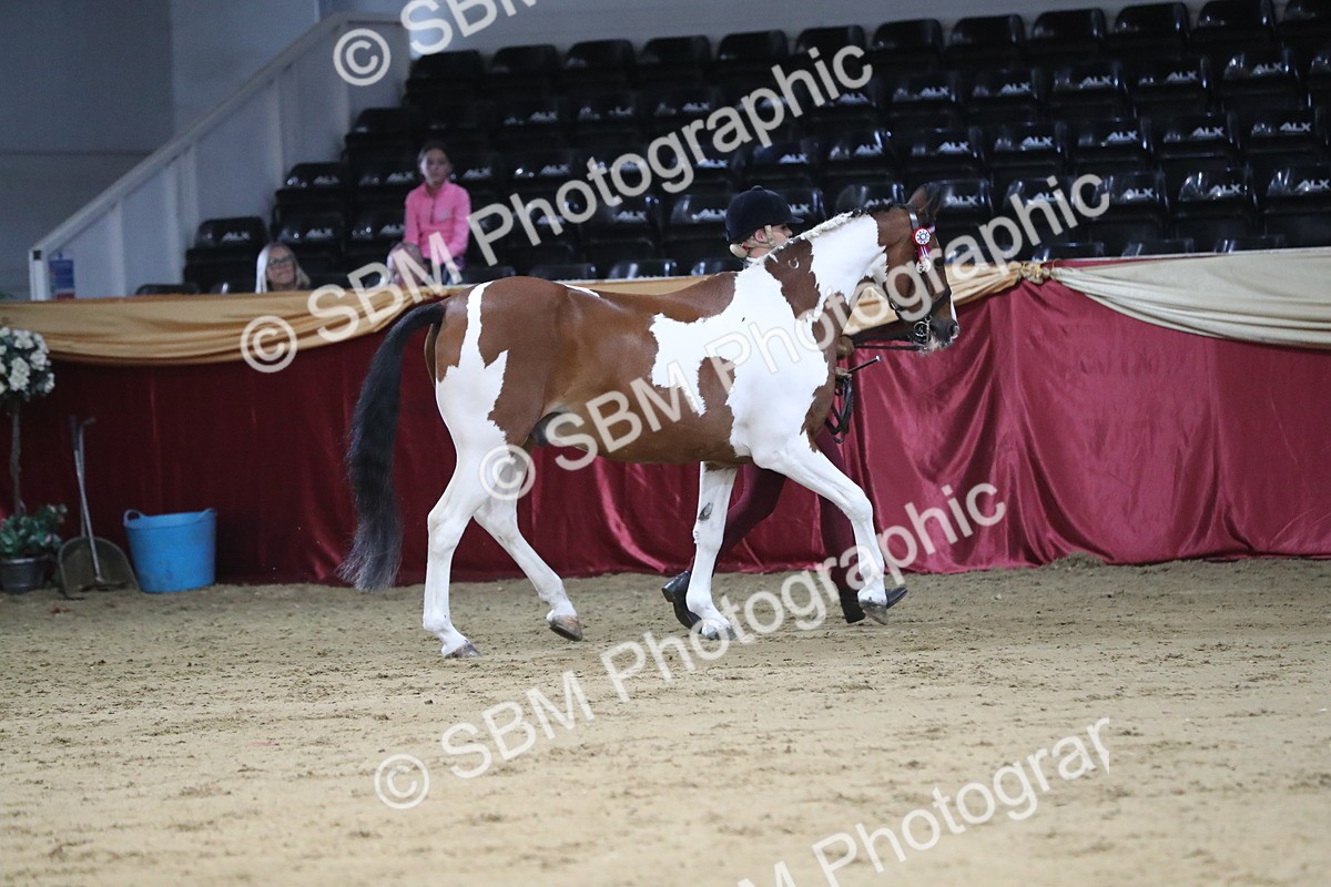 SBM_04985 - Class 8R- Regional -IH Veteran