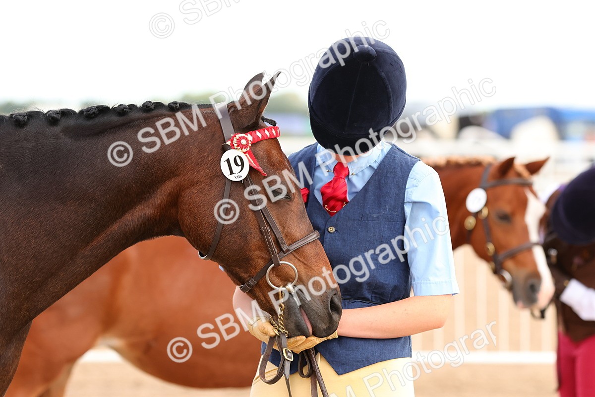SBM_10227 - Class 205 - IH Show Pony - Show Hunter Pony