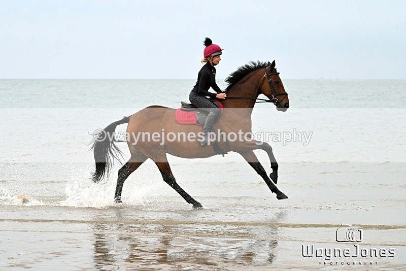WJ7_8985 - Hayling Island Beach Shoot 22-09-24