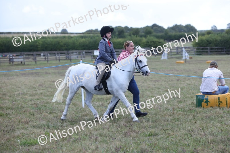 20250831-2377 - Class 16 - Family Pony