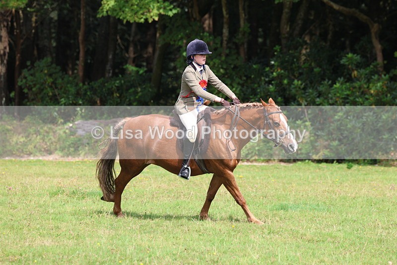 3E7A6101 - Working Hunter Championship