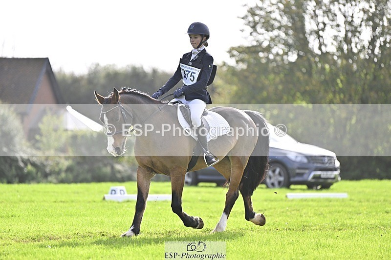 241025-120925-07023 - 375-Erin.Brown-50.SHADES.OF.BAY