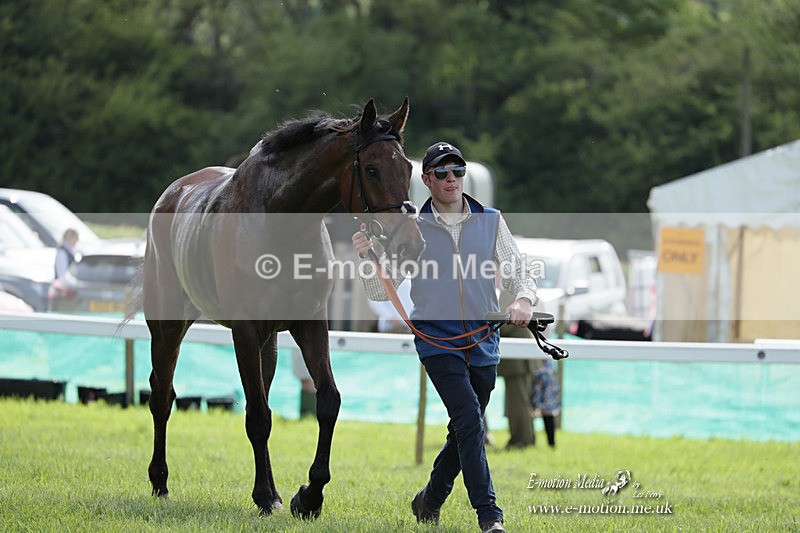 PtP 070523 329 - Kimblewick Races Coronation Meet  Kingston Blount 07/05/23