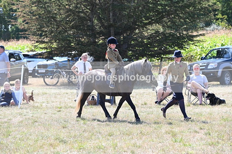WJ6_7948 - Class 36 Lead Rein