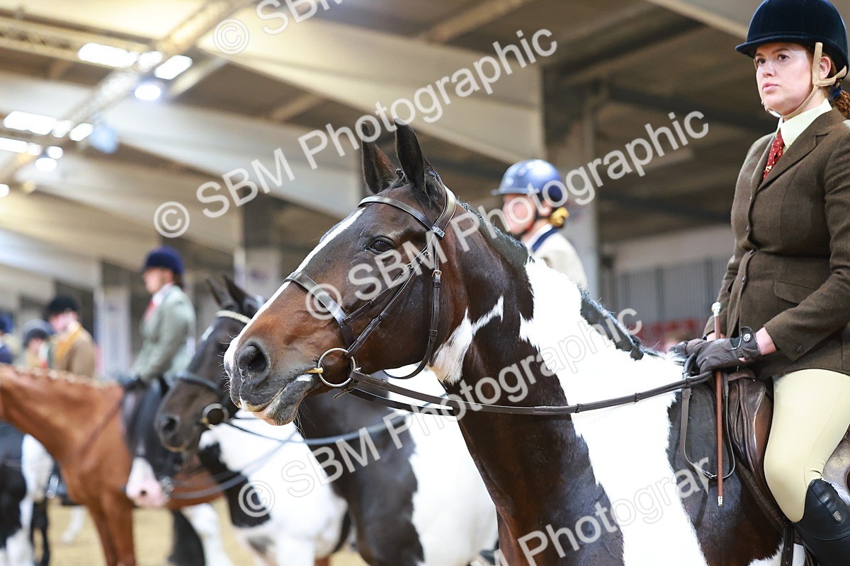 SBM_09689 - Class 102 - HOYS Veteran Qualifier - Ridden Veteran