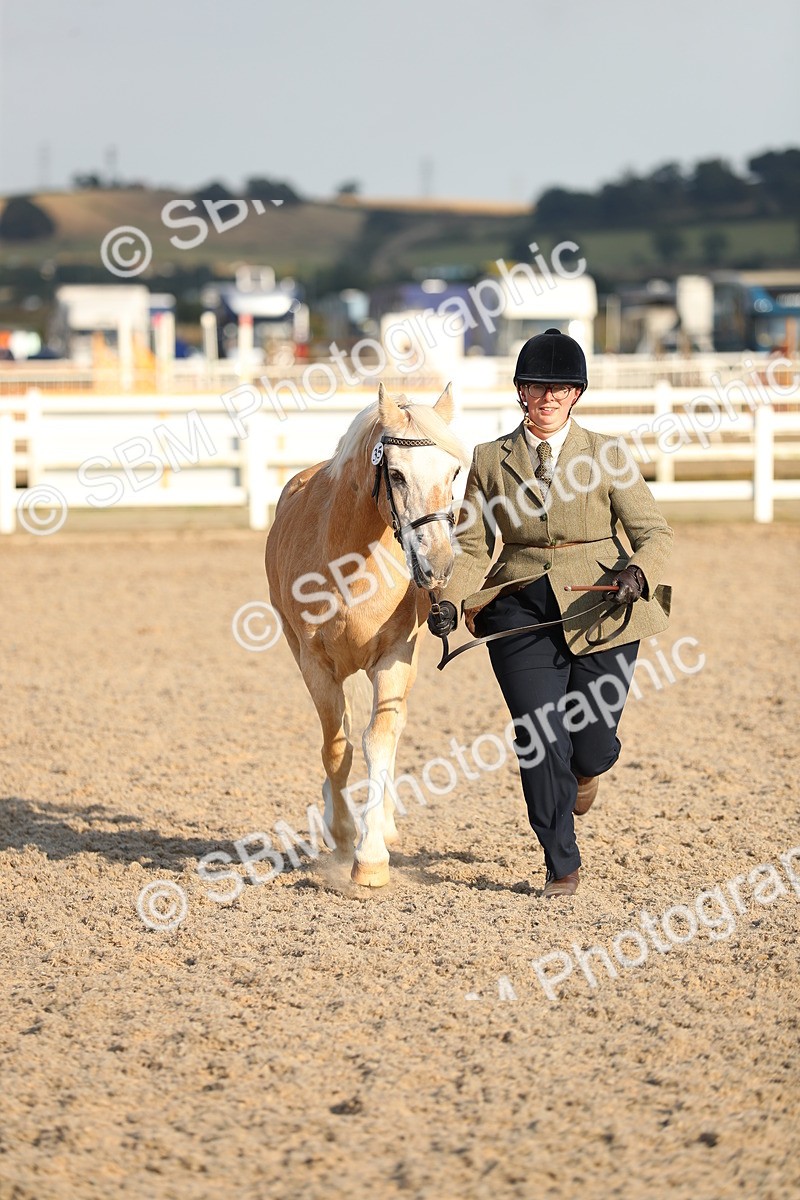 SBM_08956 - Class 29 IH Veteran Pony