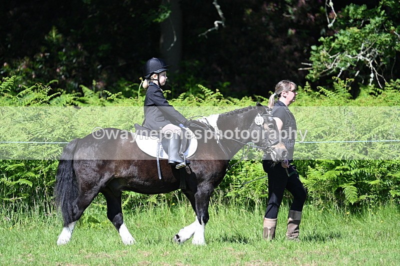 WJ7_0647 - Class 8 First Rally Pony