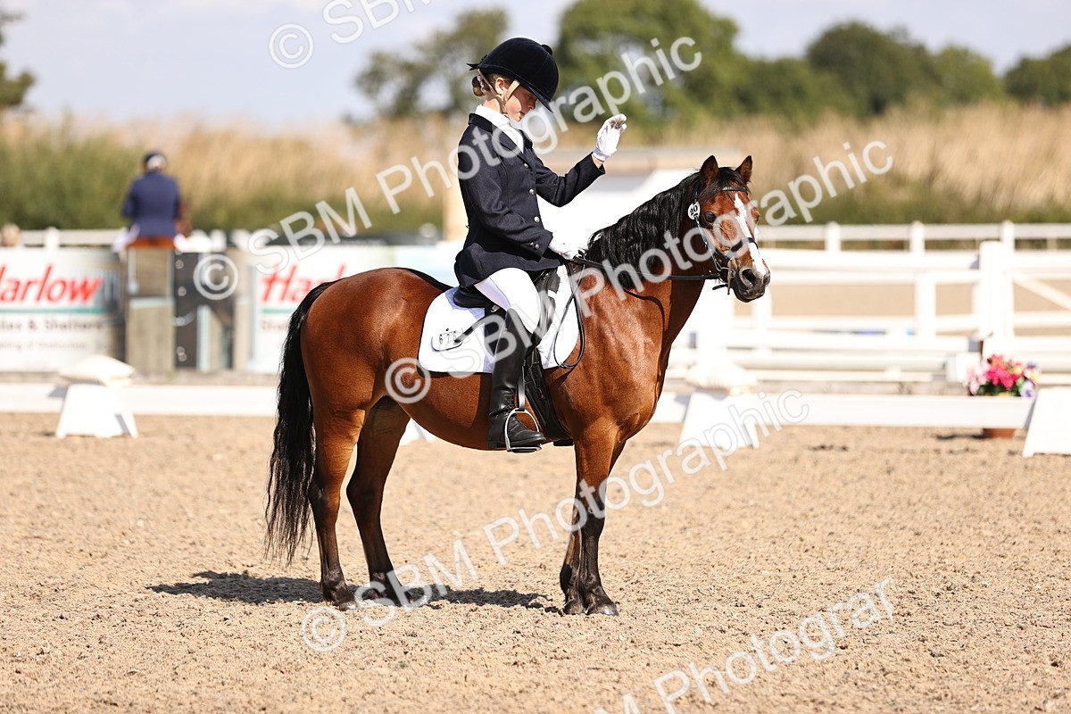 SBM_03519 - CLass 35 Intro 3