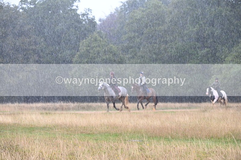 DSC_3112 - Time at Statue 12:59 to 13:49