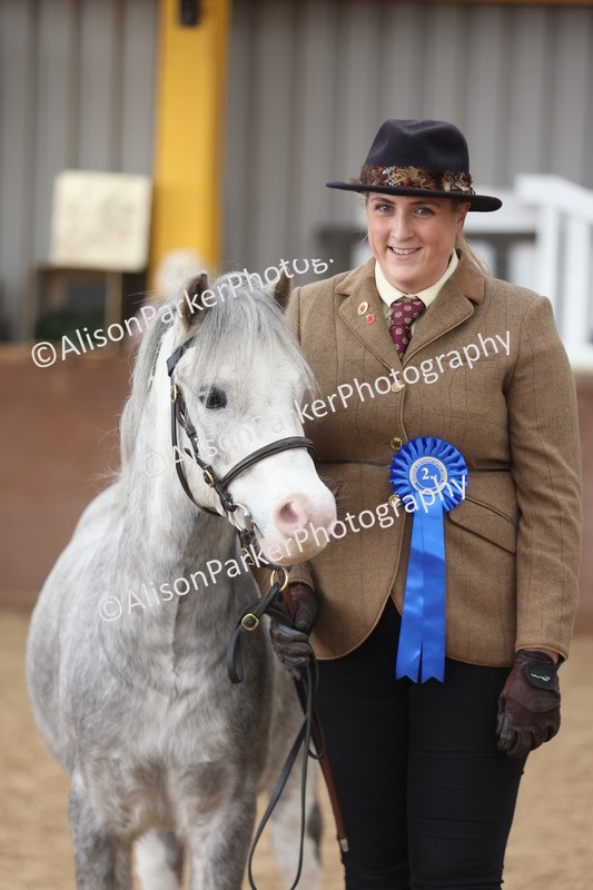 20251109-0682 - Class 22 - Geldings 4 Years and over