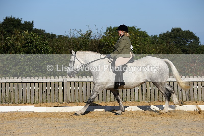 1X9A7610 - Class 7: Novice Ridden Hunter/Hack/Cob/Riding Horse