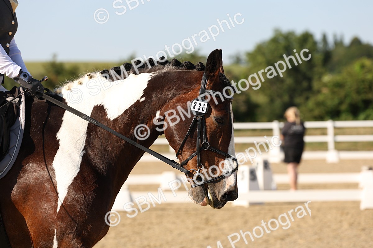 SBM_006996 - Prelim 4 - 15.56-17.51