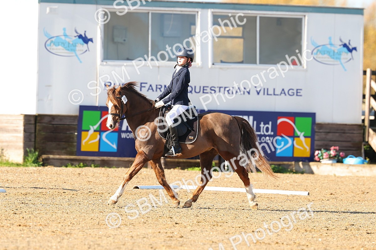 SBM_000238 - Prelim 5