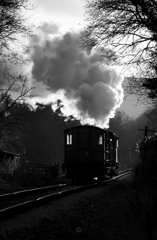 In to the Sunset - Trains of Thought