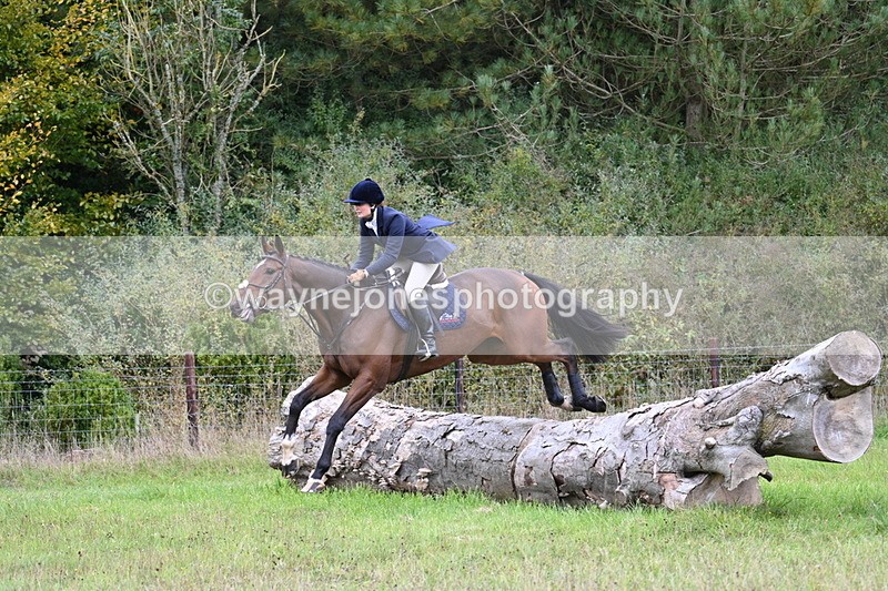 WJ7_3690 - Camera 1 Line 1