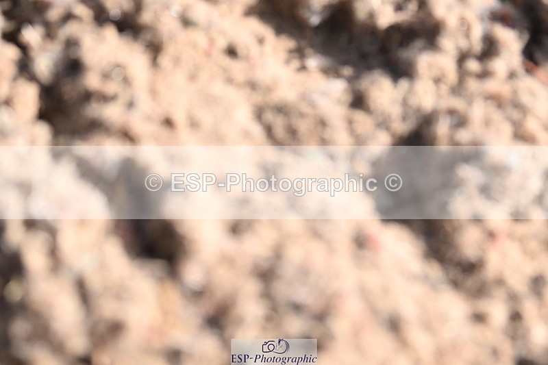 240622A-083819-06612 - Cls 25 BD Music Prelim