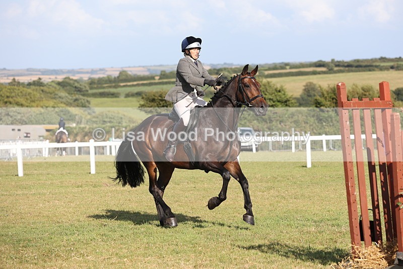 JPP_3120 - Class 21: Working Hunter 80cm