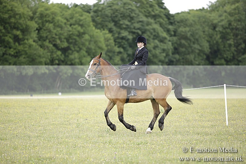 BVR160717-1942 - Side Saddle Classes 16/07/17