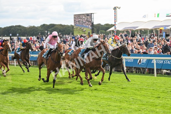 210825-Race 5-Charlottes Web-5041 - Race 5 4.10pm British EBF & Sir Henry Cecil Galtres Stakes