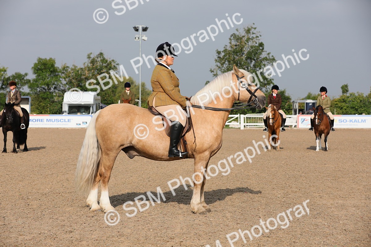 SBM_10105 - Class 302 Ridden M&M -Large Breeds