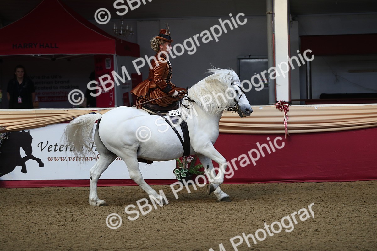 SBM_11563 - Class 105 Ridden Costume- Side Saddle