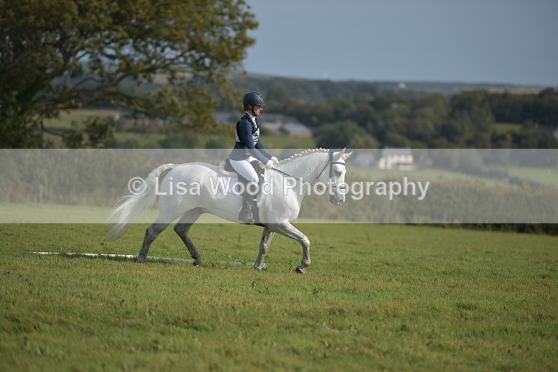 RAY_7661 - Class 2B: Trekenning Open: Dressage