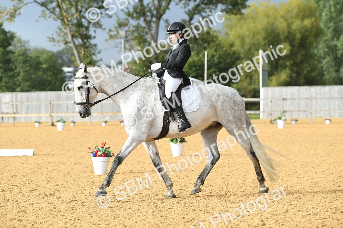 SBM_11152 - D28 Elementary Taster Elementary 42