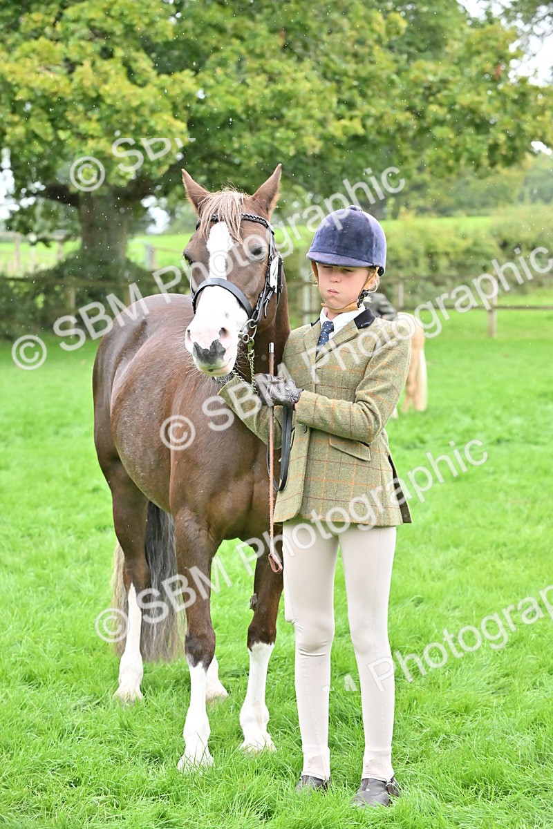 SBM_68598 - S42 - Junior Handler 9-12 Years