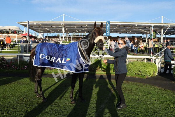 yr08102022r7-65 - Race 7 5.00pm The Coral Gets You Closer To The Action Stakes