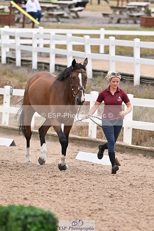 250716-143130-01163 - Trot Up 2.30 to 3.30