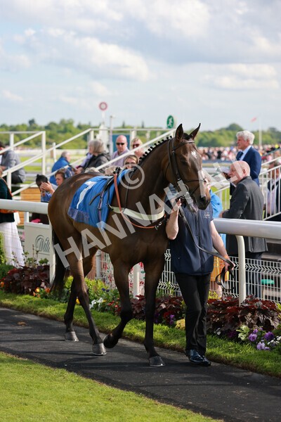 yr21052022r7-1 - Race 7: 5:15pm Reg Bond Always and Forever Stakes