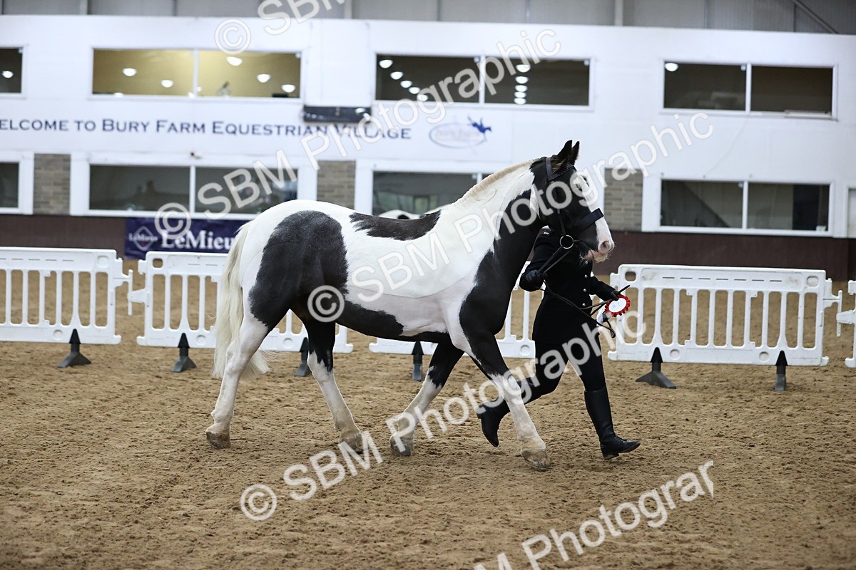 SBM_5338 - Class 32 - In Hand Cob Type