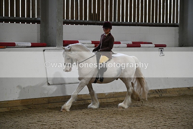 WJ7_4191 - Class 17 Ridden Cob