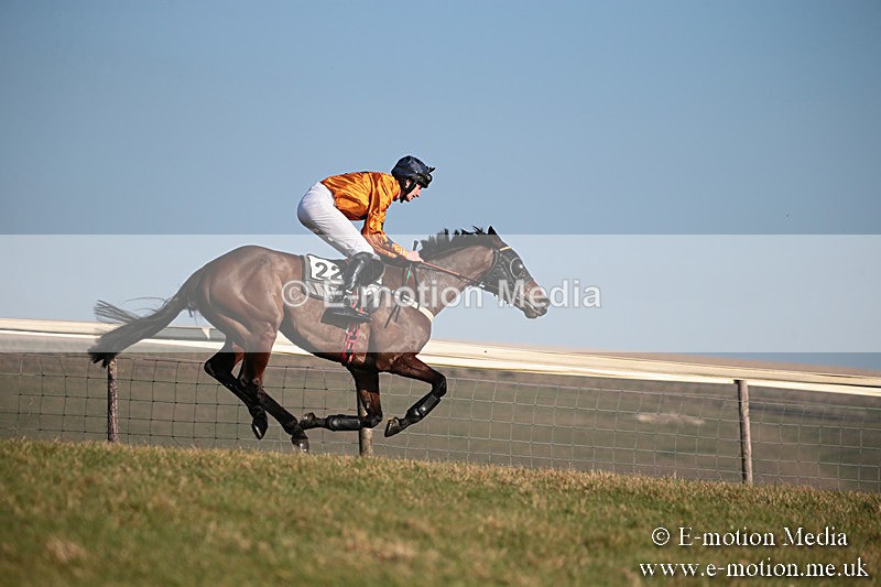 PtP 230219 395 - Vine & Craven Point-To-Point - Barbury 23/02/19