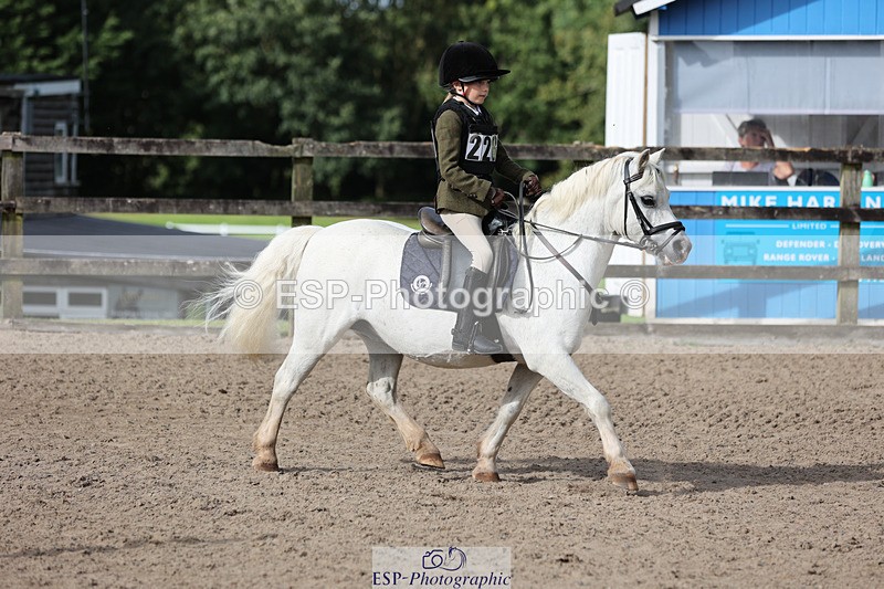 240822X-170029-13617 - 40cm A R1 15.53 to 16.48