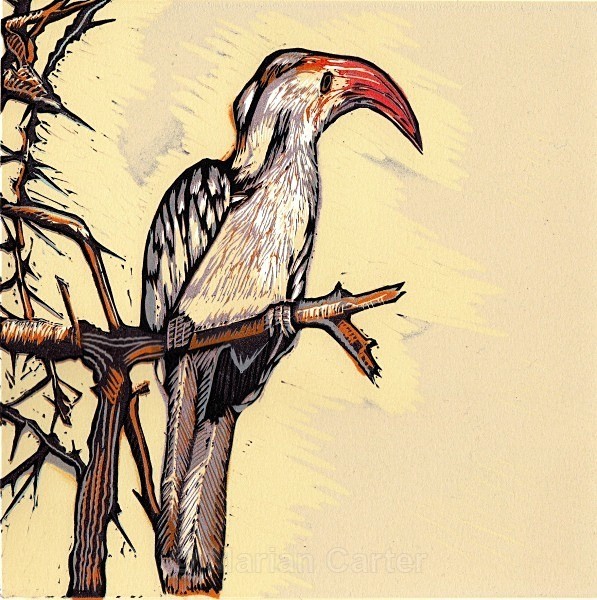 Out on a Limb - Reduction Linocuts