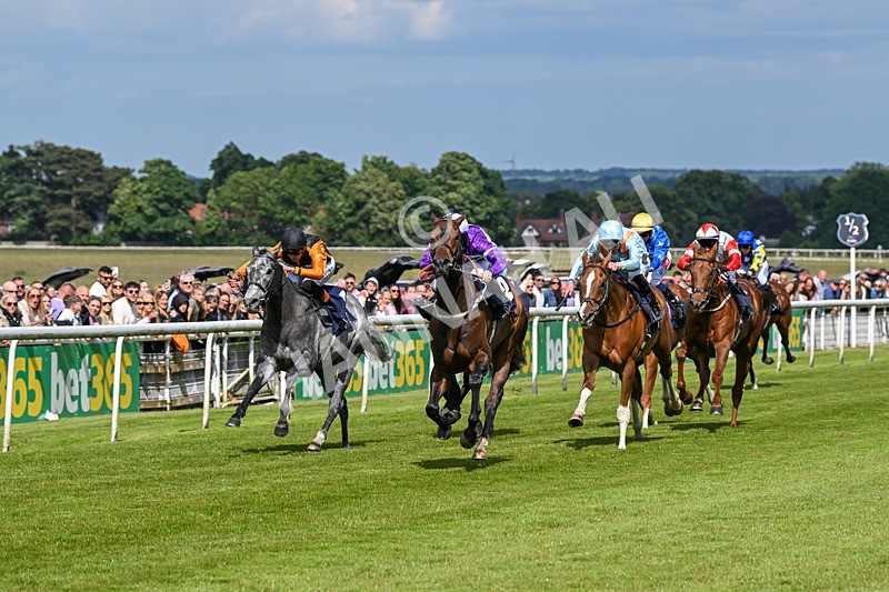 080624-Race 5-Ludos Landing-1442 - Race 5