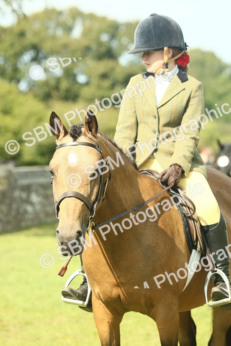 SBM_68860 - S58 - Mini Show Cob Ridden