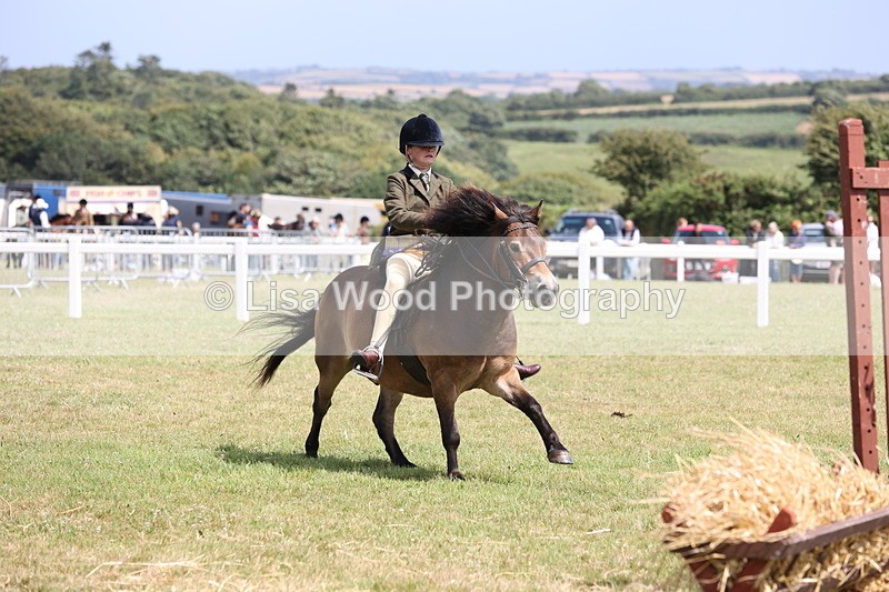 JPP_2027 - Class 19: Working Hunter 60cm