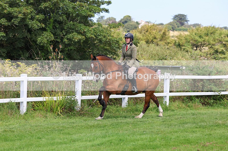 3E7A8707 - Class 5: Working Show Horse