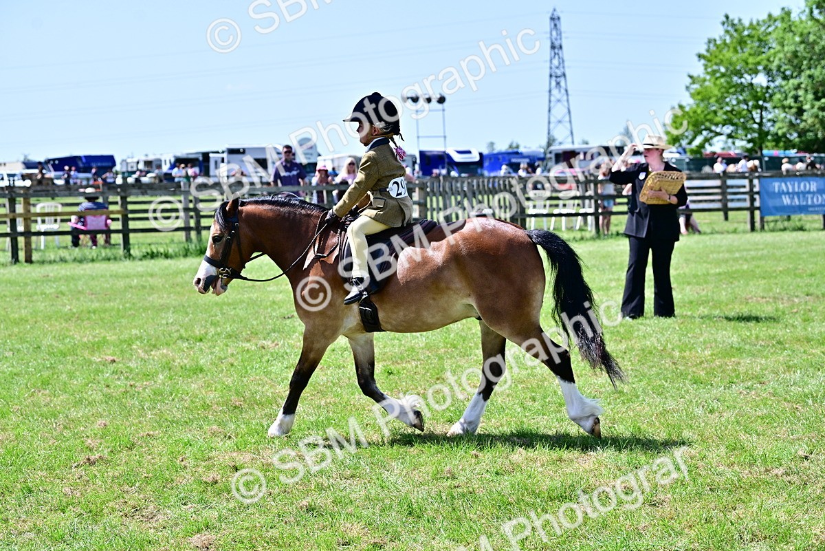 SBM_06039 - Class 59-60 - TSR M&M  Lear Rein and First Ridden Amateur of the year