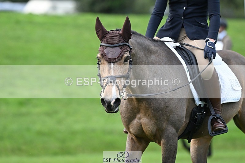 231020-161655-11652 - 558-BATHLEYHILLS.GOLDEN.SPRAY-Cleo.Whitbread-DR