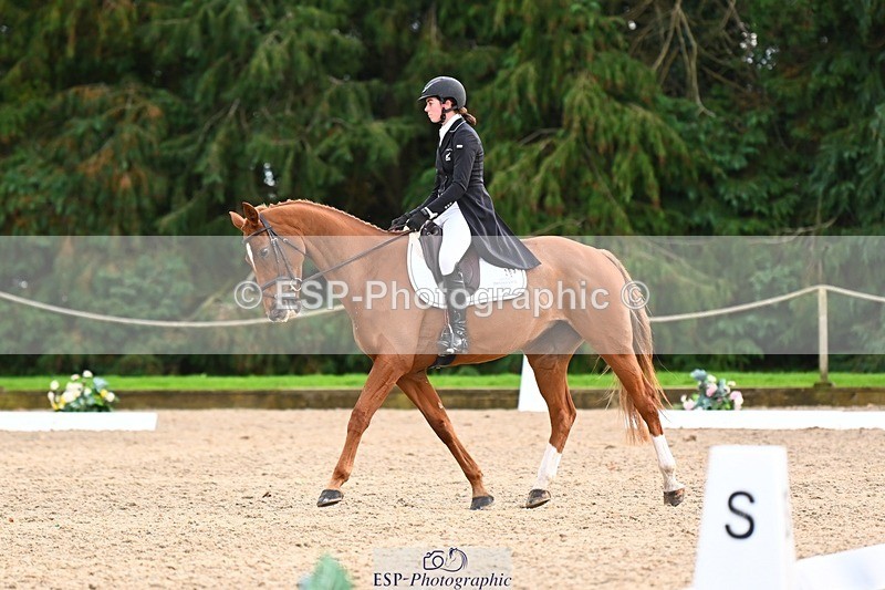 231021-162110-21099 - 265-EG.TIGER.CHILLI-Tayla.Mason-DR