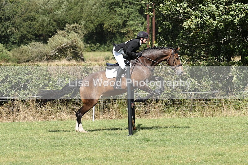JPP_8944 - Class 2: Trekenning: 80cm Showjumping