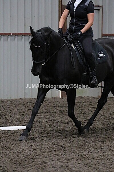 SIAL3941 - CAbin Dressage 5th july 2025