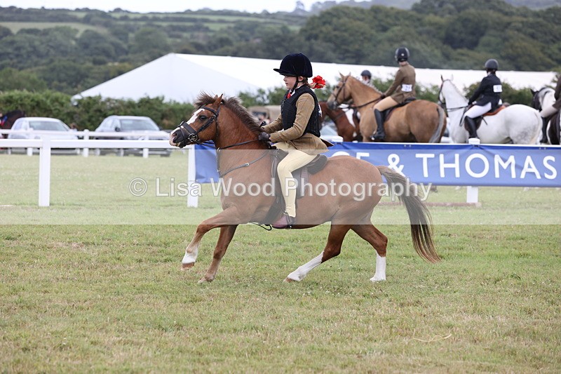 JPP_1749 - Class 18: Tiny Tots Working Hunter Pony