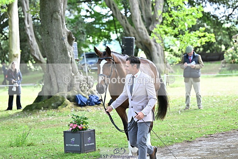 250521A-151042-00318 - B-303-Alexander.Bragg-SHANNONDALE.ALDO