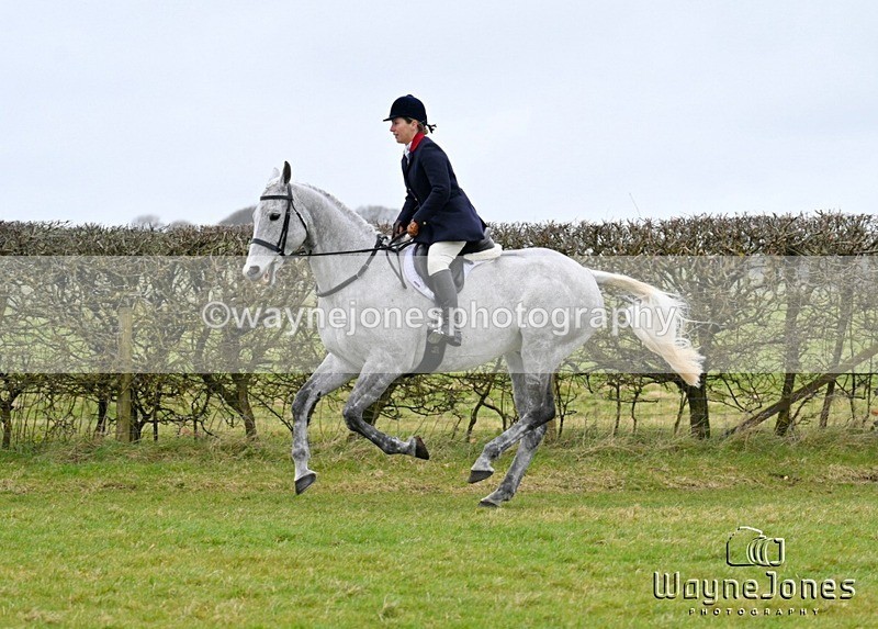 WJ7_4370 - Edited examples